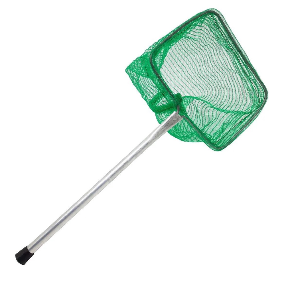 Mini Passagua para aquario pesca peixe isca viva