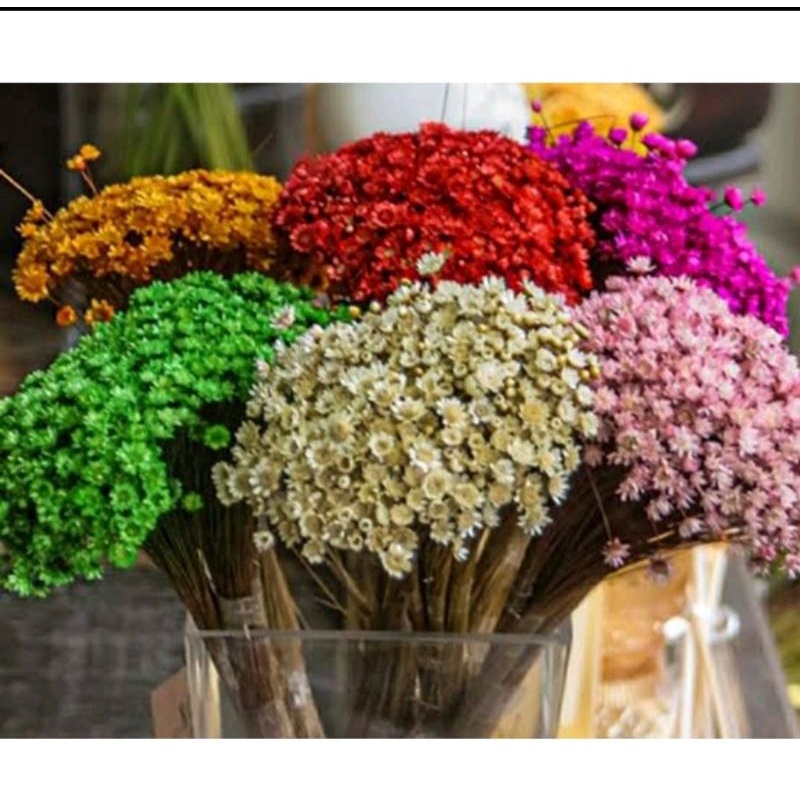 350 Mosquitinho Sempre Viva Desidratadas Flores Naturais Seca ideal para  Arranjo Decoração | Shopee Brasil