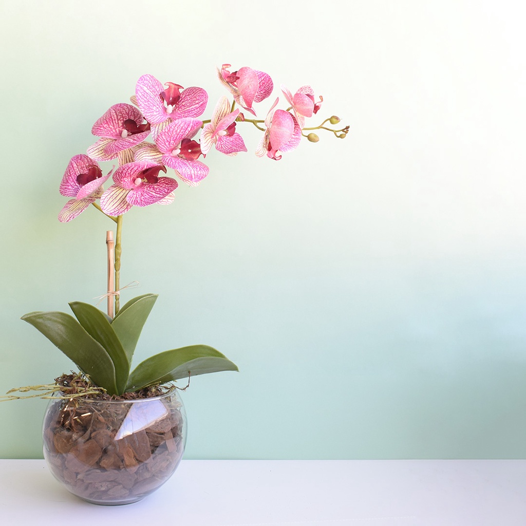 Arranjo de Orquídea Rosa Artificial de Silicone no Vaso Transparente Médio  | Shopee Brasil