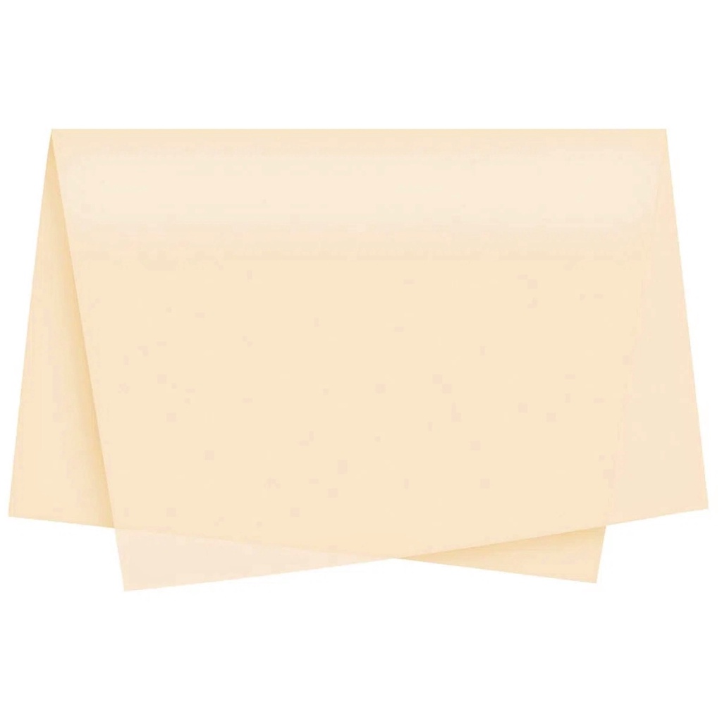 Papel de Seda Cor Champanhe 50x35 Pacote com 50 folhas Artesanato