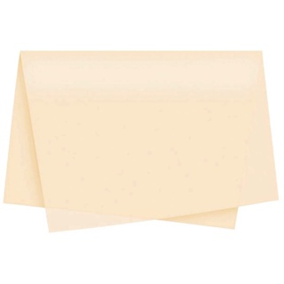 Papel de Seda Cor Champanhe 50x35 Pacote com 50 folhas Artesanato em Oferta na Shopee