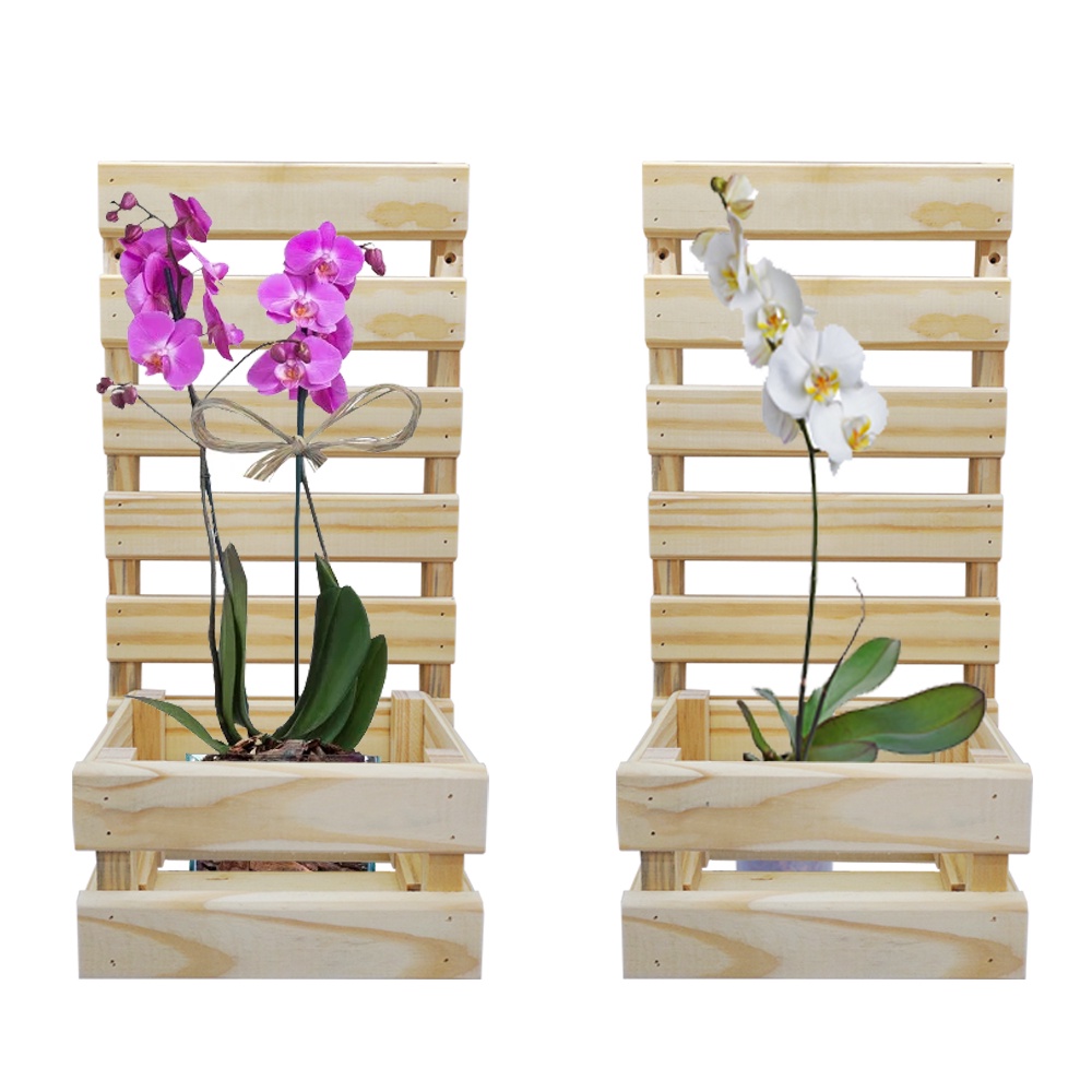 Kit 2 Suporte Para Pendurar Vaso De Planta Parede Orquidea Violeta - Presente Dia Das Mães - Promoção