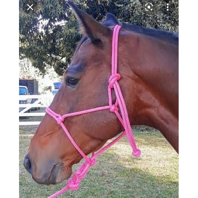 Cabresto Para Cavalo 7 Nós De Corda Com Regulagem