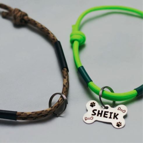 2 Coleiras Com 1 Plaquinha De Identificação Vários Modelos em Oferta na Shopee