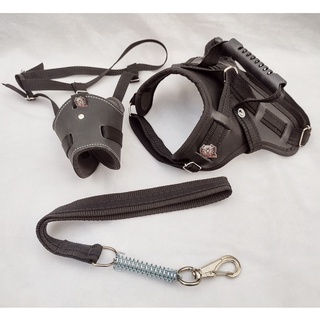 OFERTA ! Peitoral Coleira para Cachorro em couro sintético com alça + Guia com amortecedor Pet Pitbull Pastor Rottweiler e focinheira ajustável