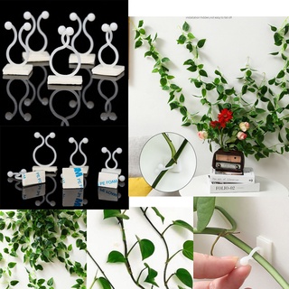 10pcs Vinhas De Parede Invisível Fixação Clips / Planta Escalada Parede Pegajoso Cabo De Plástico Gancho Auto Adesivo em Oferta na Shopee