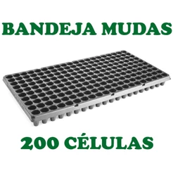 Sementeira para Plantio de sementes
