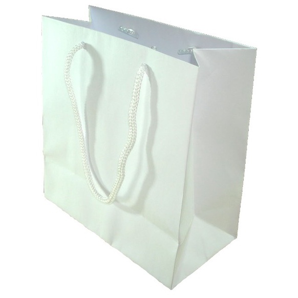 Sacola de Papel 10x4x10 Com 10