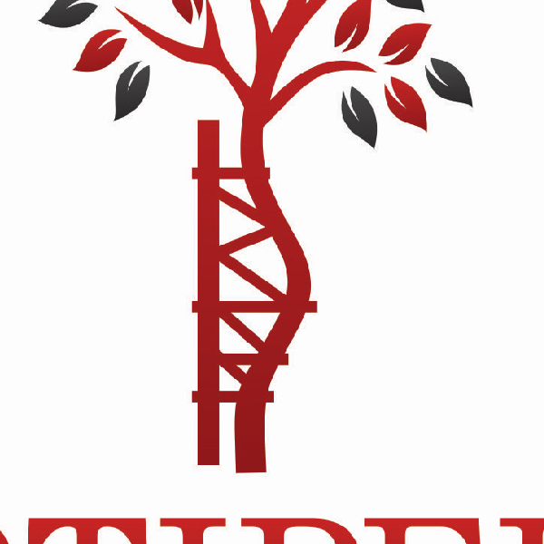 Artipela Produtos Ortopedicos