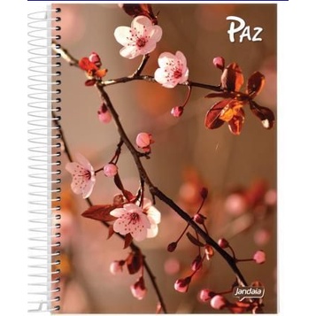 caderno 12 matérias 240 folhas universitário jandaia paz estampas flores estampado capa dura de papelaria material escolar