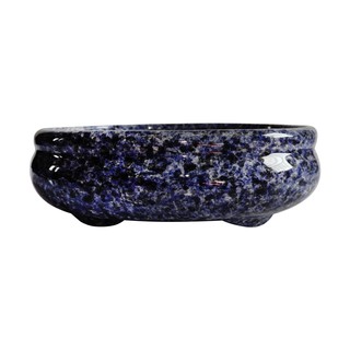 Vaso Bonsai 19 X 15 X 06cm Oval