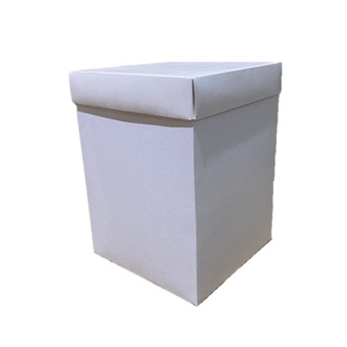 10 Caixas Para Presente 15x15x21cm Sem Visor em Oferta na Shopee