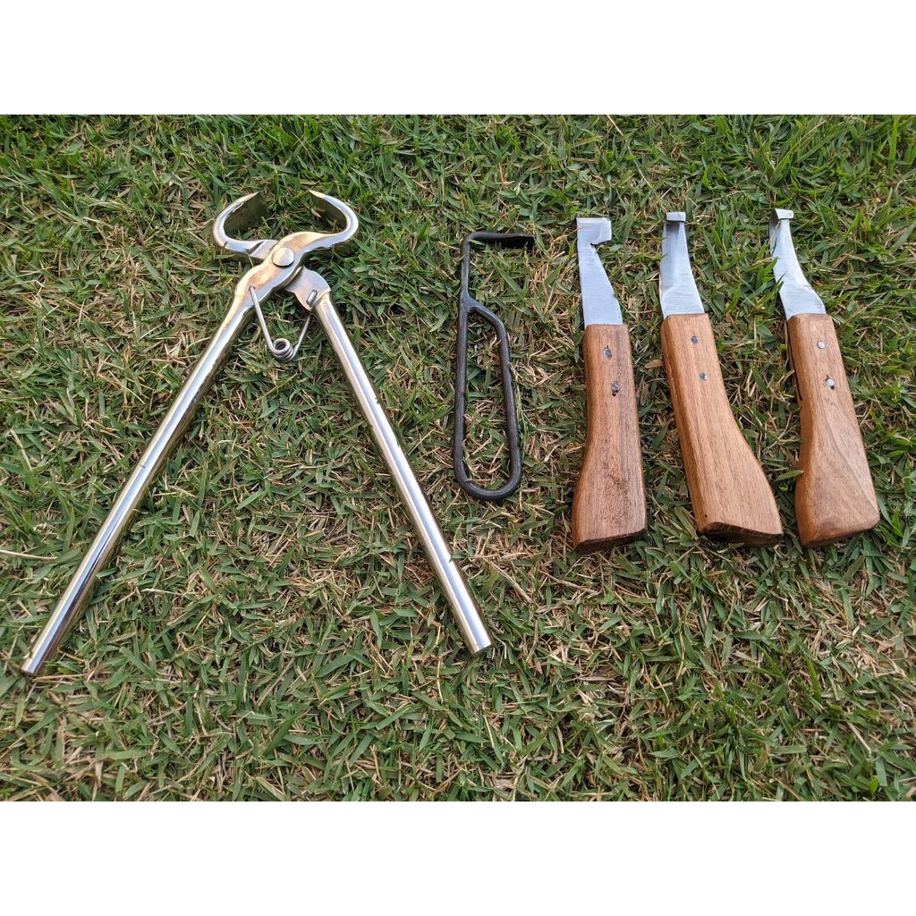 Kit Turques Turquesa E Jogo De Rinetes Casqueamento Cavalo