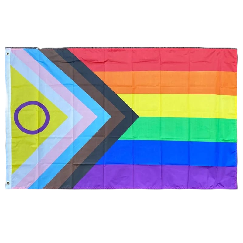 Bandeira Grande LGBTQIA+ Progresso 2022 90x150 dupla face alta definição de cor