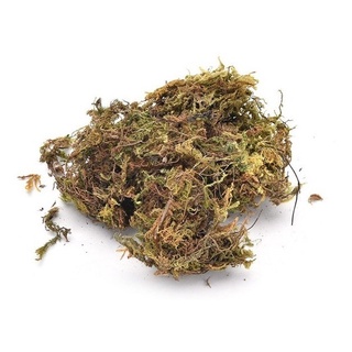 100gr Musgo Sphagnum Substrato Inerte Vasos E Aquários