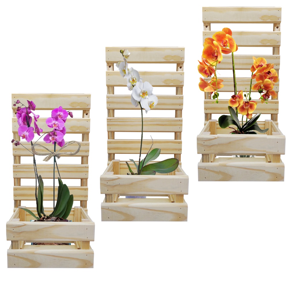 Kit 2 Suporte Floreira Para Pendurar Vaso De Planta Parede Orquidea Violeta