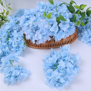 flor azul em Promoção na Shopee Brasil 2023