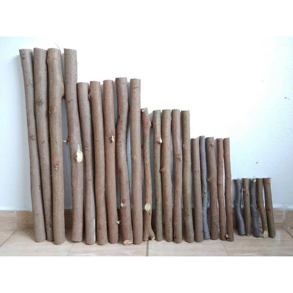 Kit 2 Galhos Madeira Natural para Artesanato Macramê Decoração - Rústico sem acabamento