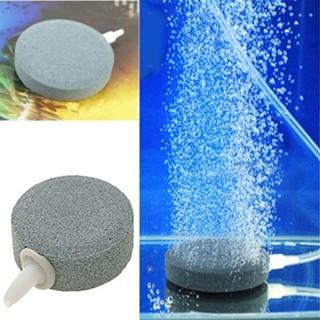 2 Pedra Porosa Redonda 40x17mm +3mt Mangueira De Silicone em Oferta na Shopee