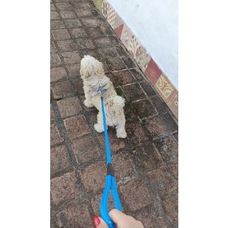 guia para cachorro corda pet passeio cães