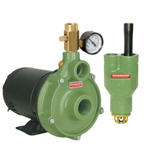 Bomba Injetora 1,0 CV Monofásica BIR-2008 I 1-26 SCHNEIDER