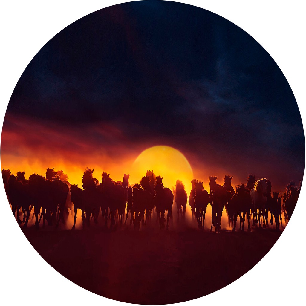 Capa de Estepe para Ecosport Crossfox Cavalos Por do Sol