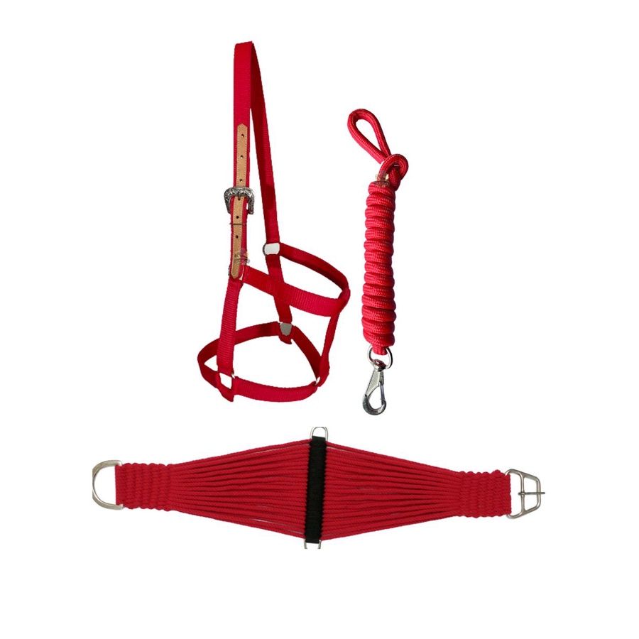 Barrigueira Quarto de Milha Para Sela + Cabresto Ingles QM
