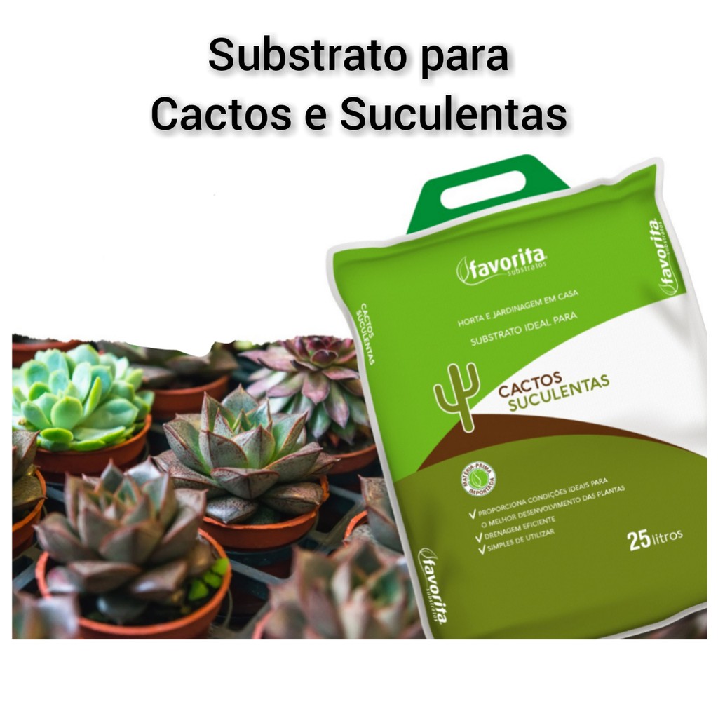 Substrato Ideal Para Cactos E Suculentas - 25 Litros