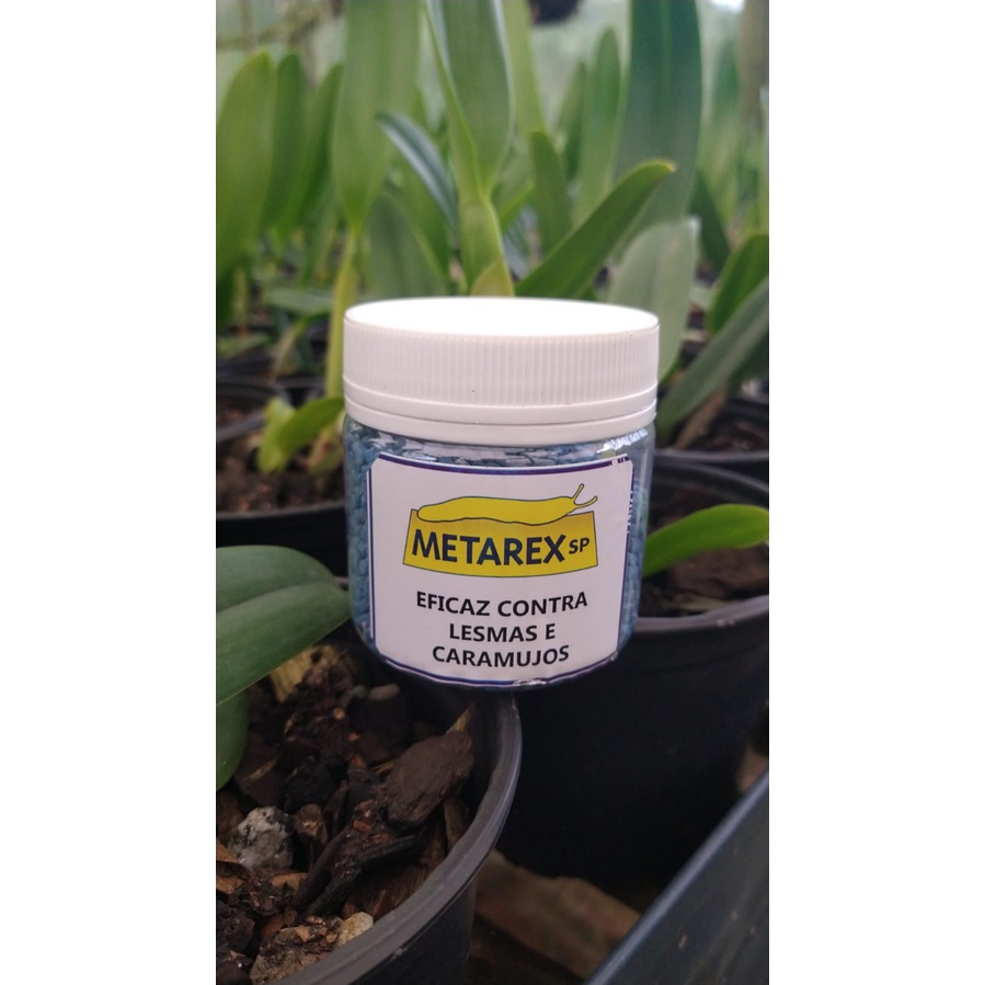 Metarex 180g | Shopee Brasil