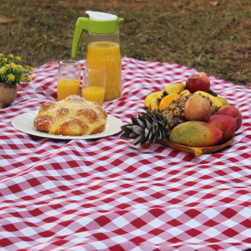 Toalha de Mesa Retangular 6 Lugares Em Oxford Xadrez 2,00m X 1,45 Picnic Piquenique Vermelho em Oferta na Shopee