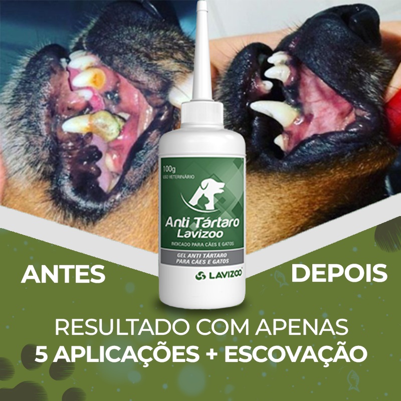 Anti Tartaro para Cães E Gatos Gel 100g Lavizoo