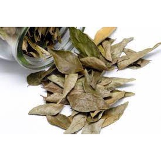 Guaco Folhas para Chá 100g/500g/1kg - Alta Qualidade