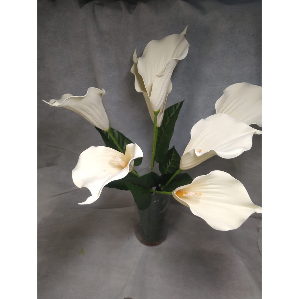 Buque de Copo de Leite: Onde Comprar | BuscaProdutos