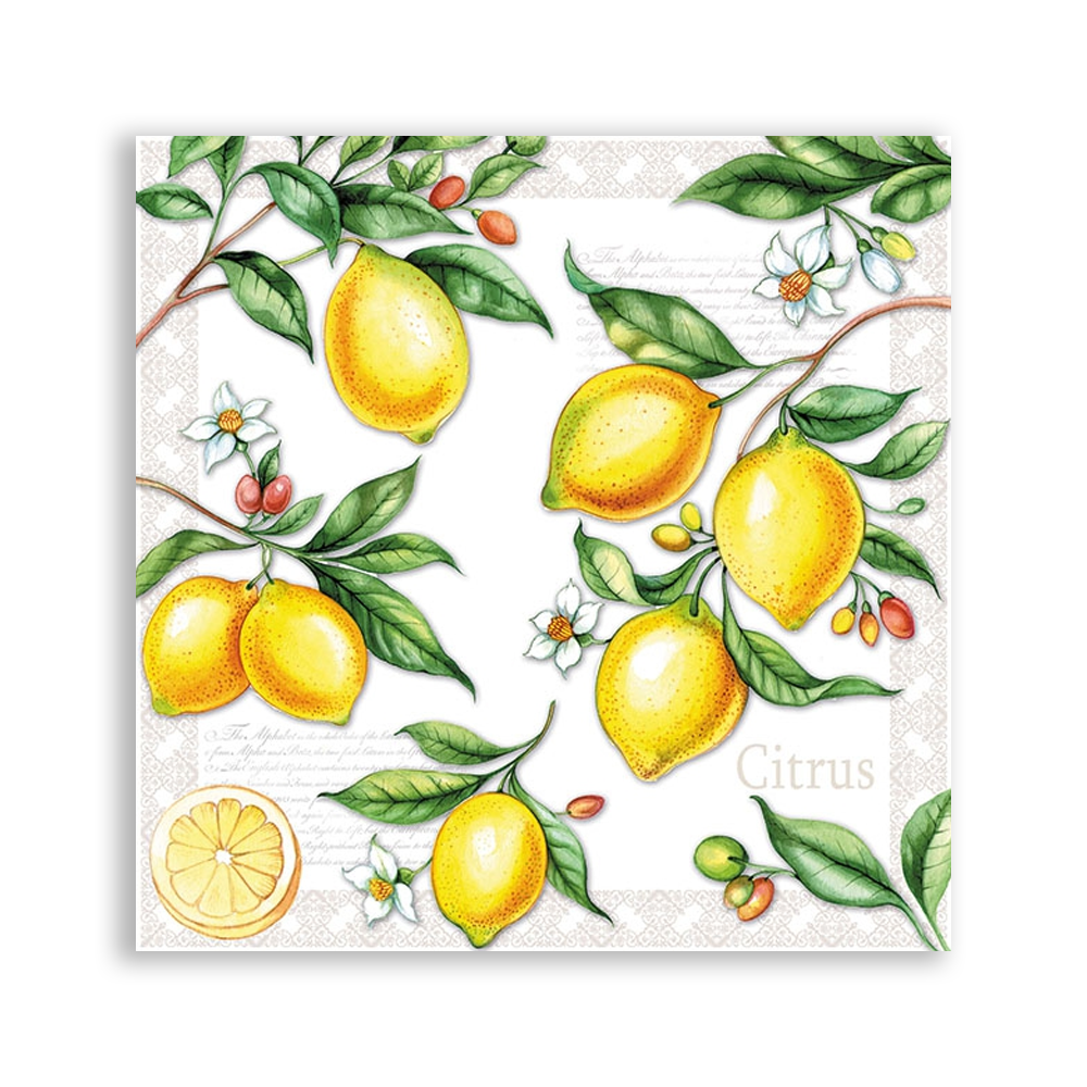 20 Guardanapos para Decoupage Ambiente Citrus