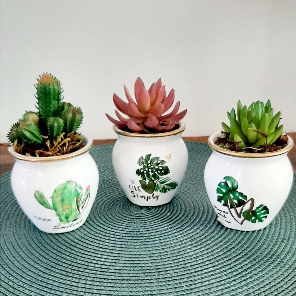 Vasinho Decorativo Em Cerâmica Vaso Cachepot Para Plantas Cactos E Suculentas