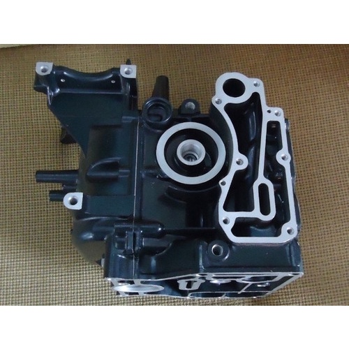 Cabeçote Para Motor De Popa Yamaha Sailor Branco Marine 15 Hp 4 Tempos Novo F15
