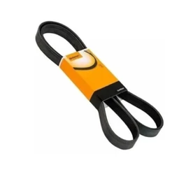 Correia do alternador Poly ECOSPORT FIESTA Zetec Rocam
