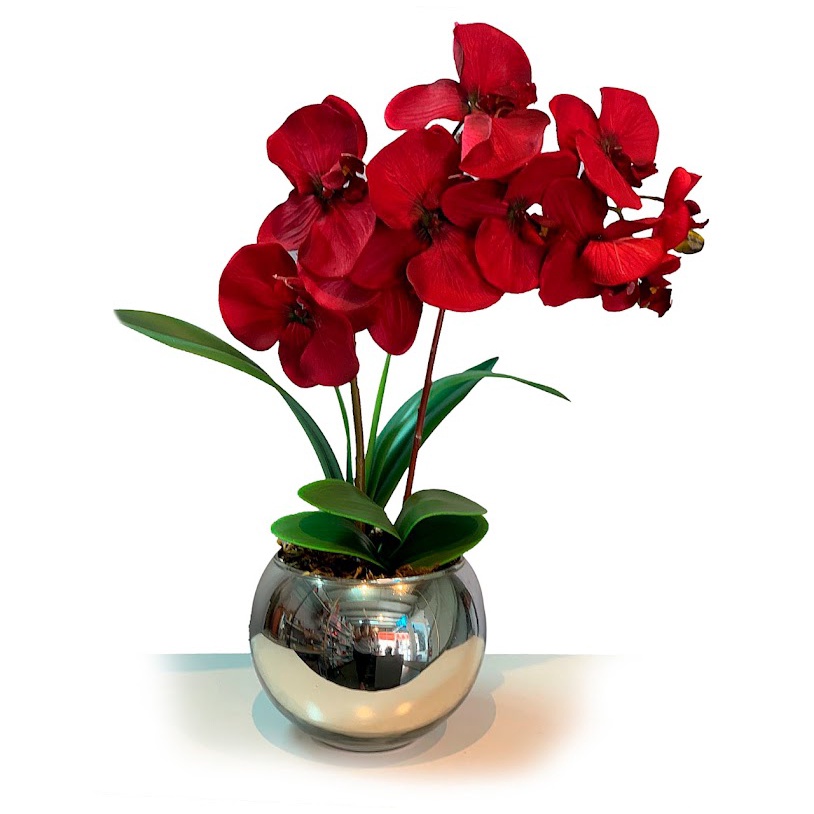 Arranjo de Orquídea Vermelha em Vaso Prata 25 cm | Shopee Brasil