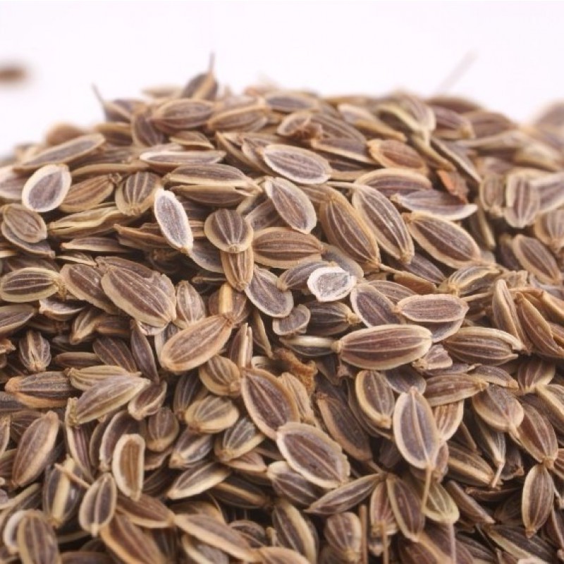 Endro Sementes para Chá 500g - Safra Nova