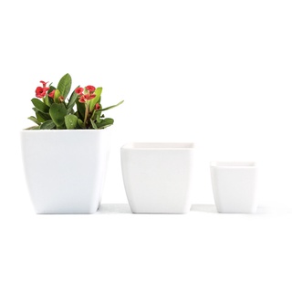 Vasinho  Para Suculenta branco em  Quadrado (nao vem com flores)