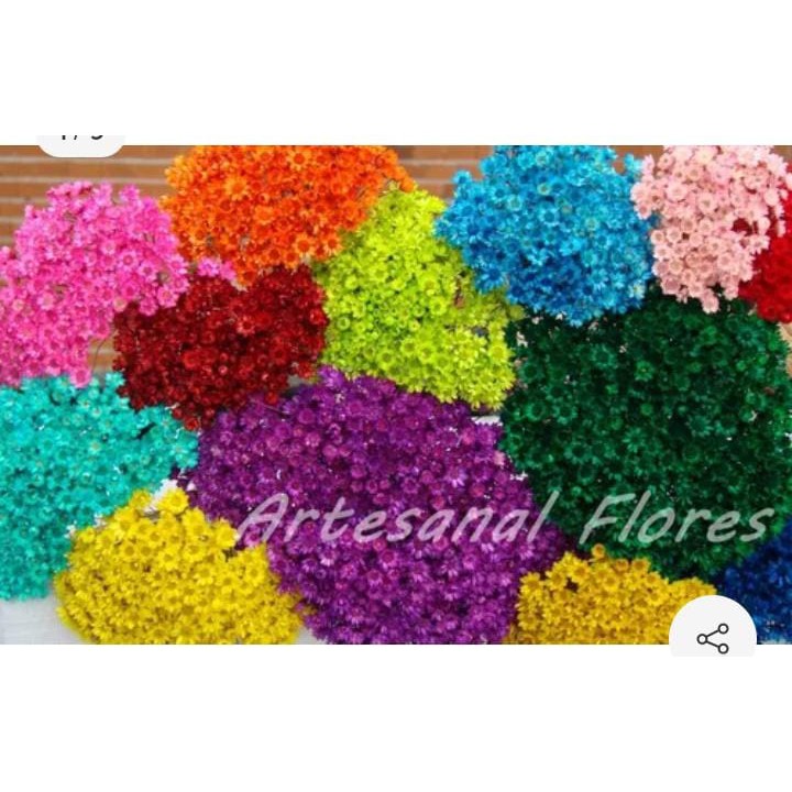 250 flores desidratadas naturais coloridas +brinde de 100 flores a mais  naturais no seu buque | Shopee Brasil