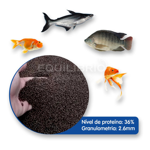 Ração Para Carpas, Kinguios, Tilápias E Outros (2.6mm) 1kg em Oferta na Shopee