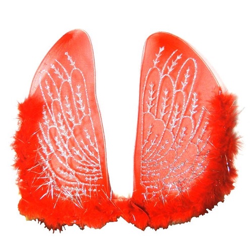 06 Asas De Anjo Com Marabu Cores Sortidas Festa Carnaval