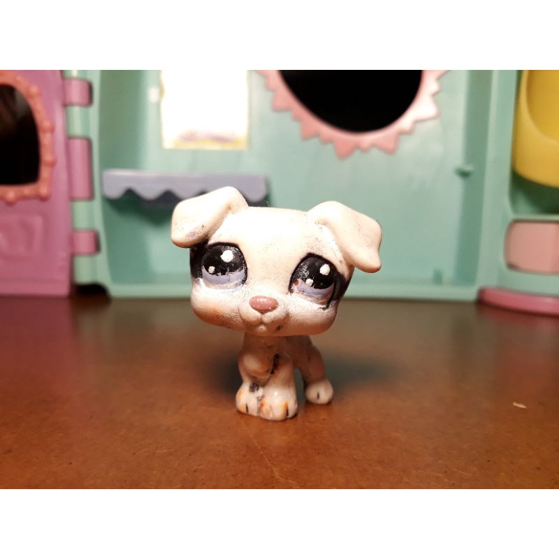 2" Littlest Pet Shop Littlest Pet Shop Roxo Collie Cão Com Acessórios 5pcs 