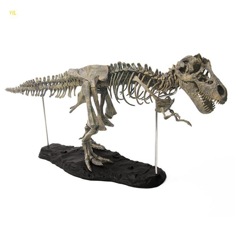 Yil T Rex Tiranossauro Rex Esqueleto Dinossauro De Brinquedo Modelo Animal Cole @ @ Cionador Super Decoração