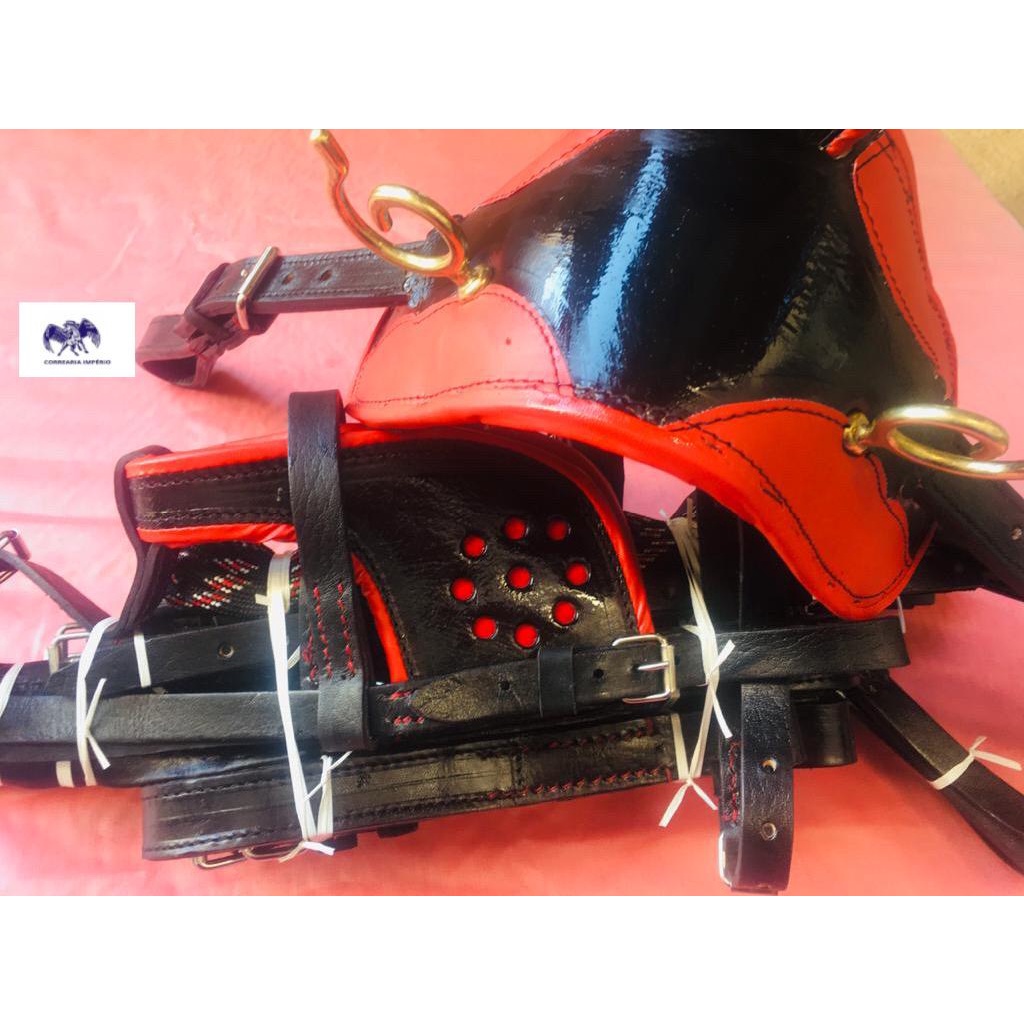 Arreio Charrete Ponei: Onde Comprar | BuscaProdutos