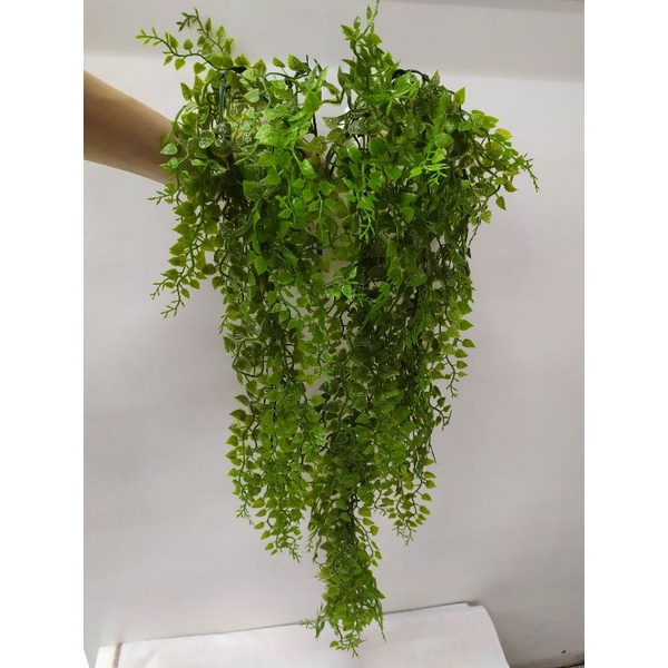 Planta Pendura Verde Artificial Folha de Avenca Planta Chlorophytum Parede Varanda Casa Decoracao em Oferta na Shopee