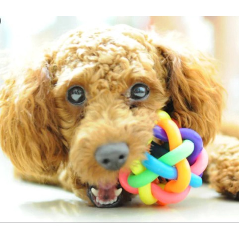 Bola Colorida com Guizo