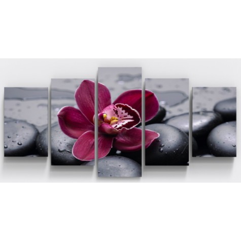 Kit Quadro Placas Decorativas Sala/Hall/Escritório/Quarto O Charme a a Elegância da Orquídea 5 pçs