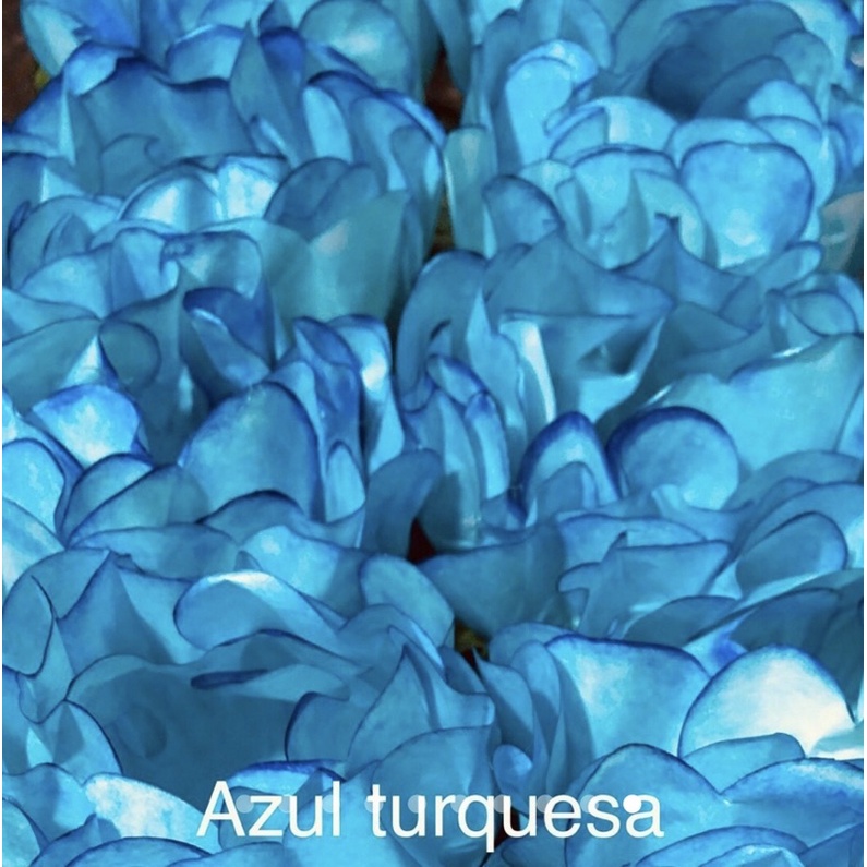 24 Forminhas AZUL TURQUESA Para Doces Finos, Para Casamento Aniversários, Debutantes e Decoração MOD. CELEBRARE// em Oferta na Shopee